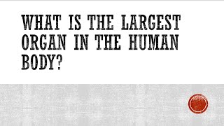 What is the largest organ in the body?