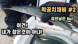 [ 서민낚시 256회 ] 이사이즈 10마리면...  한가족 횟감 입니다.