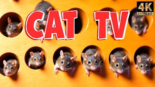 Cat TV for Cats | Mice Playing Hide & Seek 🐭 The Perfect Entertainment for Your Feline | 4K HDR