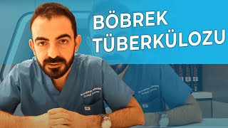 Böbrek Tüberkülozu Belirtileri Ve Tedavi Yöntemleri