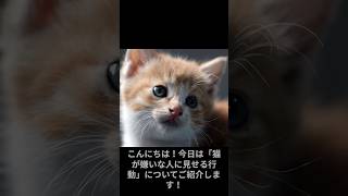 【にゃんこ好き必見！】猫が猫嫌いな人にとる行動【雑学】 #猫 #ねこ #雑学 #shorts #cat #子猫