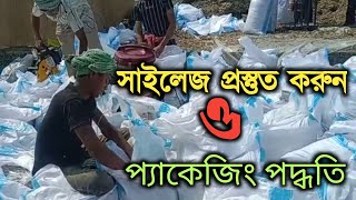 🌽সাইলেজ প্রস্তুত করন এবং প্যাকেজিং পদ্ধতি। 🤔যারা সাইলেজ খাওয়াচ্ছেন খুব মনোযোগ দিবেন