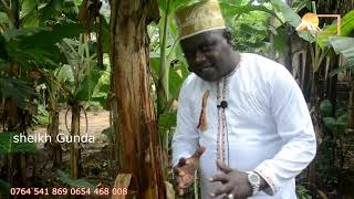 Mgomba unaweza kukufanyia haya@ Call +255654468008 au +255764541869 @ by Sheikh Gunda