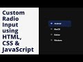 Create Custom Radio Input Button using HTML, CSS & JavaScript
