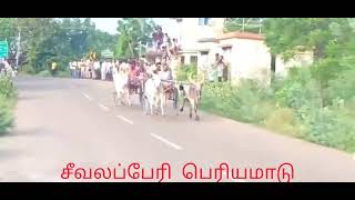 மீண்டும் முதலாவதாக தொட்டிஜெயா