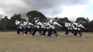 川棚菜の花よさこい2017　馬関社中（芝生会場）