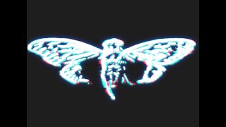 CICADA3302 1.3x