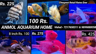 Oscar Fish 100 रु. की, Guppy Fish 12.5 रु., 7 Inch Koi Karp 105 रु., DELHI की सबसे सस्ती RETAIL SHOP