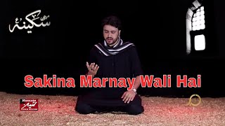 Ameer Ali - Sakina Marnay Wali Hai - Nohay 2017-18