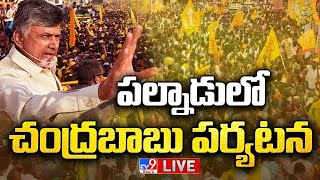 పల్నాడులో చంద్రబాబు పర్యటన LIVE | Chandrababu Palnadu Tour - TV9