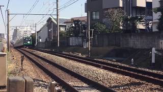 東急5050系 青ガエル