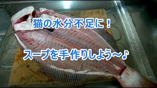 水分不足に猫の手作りスープ♪（ヒラメのアラ）Homemade cat soup