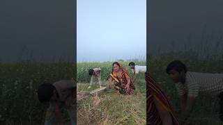 Anita bhauji Rajendra #shorts #shortvideo #youtubeshorts #viralvideo