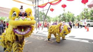 2017 Sabah Dragon, unicorn, lion dance 沙巴亚庇新春大团拜