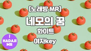 [DJ노래방/멜로디O] 화이트 - 네모의 꿈 MR (G 여자key) / 하다지MR