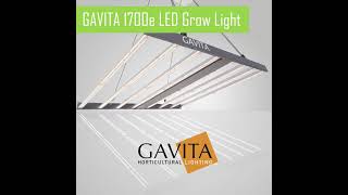 Gavita 1700e LED Grow Lights are available from Greenlight Distribution