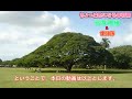 【お金の話】年収800万円正社員、給与明細書と生活費を公開