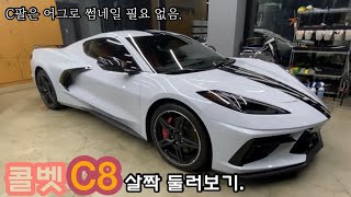 Vlog.콜벳 C8 외형 간단하게 둘러보기..처음으로 미쿡차 사고싶다..