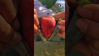 Farm Fresh Fruit Cutting🍒 - Wood working art - and craft skill - #shorts #fruits #80