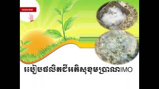 របៀបផលិតជីអតិសុខុមប្រាណIMO