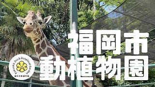 福岡市動物園