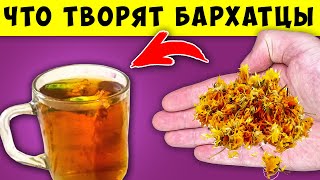 Вот что творят БАРХАТЦЫ с телом! 80% людей НЕ ЗНАЮТ об Этом...