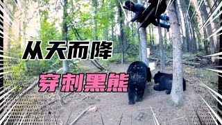 8个猎人用长矛狩猎黑熊，鳄鱼、野牛，野猪等动物视频，猎人手持长矛从天而降刺穿黑熊！《肉食猎人》S10E1