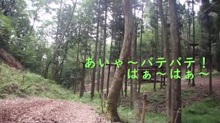 奈良県山添村冒険の森2021年6月23日体験