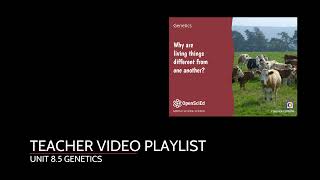 Unit 8.5 Genetics Teacher Playlist Intro