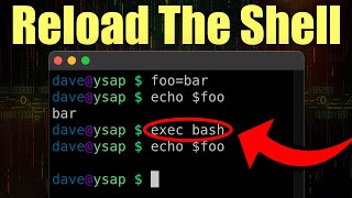 Use `exec` In Bash as a Shortcut to Reload your Shell.