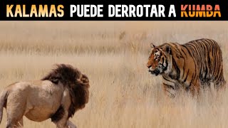 ¡POR FIN! UN DIGNO OPONENTE … | KALAMAS vs KUMBA | POR EL TRONO DE AFRICA