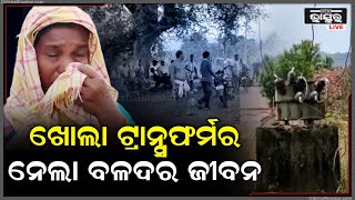 ବିଦ୍ୟୁତ ଆଘାତରେ ବଳଦର ମୃତ୍ୟୁ, ମୁକୁଳା ଅବସ୍ଥାରେ ପଡିରହିଛି ଟ୍ରାନ୍ସଫର୍ମର