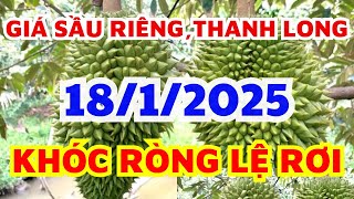 Giá sầu riêng hôm nay 18/1/2025 -Thị trường sầu riêng/Giá sầu riêng