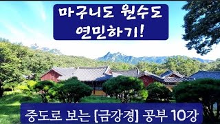 마구니도 원수도 연민하기 / 중도로 보는 [금강경] 공부 10강 / 박희승 불교인재원