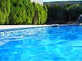 trying my fuji z33 wp camera underwater in my brother s swimming pool in spain