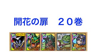 【ドラクエタクト】開花の扉20巻攻略（みがわり＋無凸りゅうおうメイン）