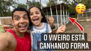 Construindo viveiro | Dica infalível da ave misteriosa | Aves Recriar