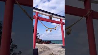 海にポツンと神社【鹿児島 荒平天神】#shorts