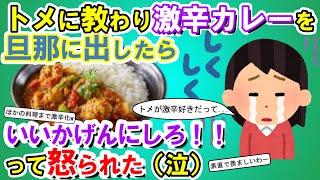 【2chメシマズ】トメに旦那は激辛カレーが好きと言われ、それならと超激辛カレーを旦那に出したら、「いいかげんにしてくれ！！意味がわからん！！」って怒られた。【2chスレ・ゆっくり解説】