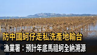 防中國蚵仔走私洗產地輸台 馬祖牡蠣最快年底納溯源－民視新聞