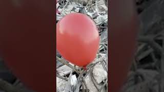 Terremoto Turchia, palloncini tra le macerie omaggio ai bambini morti. Il video emozionante #shorts