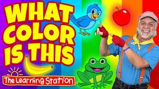 What Color is This? 🐰 Color Song for Kids 🎈 Kids Phonics Songs 🐻 Kids Songs The Learning Station