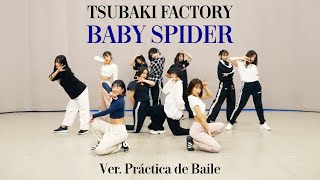 Tsubaki Factory - Baby Spider