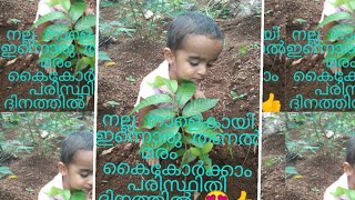 പരിസ്ഥിതി ദിനം ആയിട്ട് നമുക്ക് ഒരു മരം നടാം 🌱നല്ല നാളെക്കായി 😍നമ്മുടെ മക്കൾക്ക് ഒരു പാഠമാകട്ടെ 👍