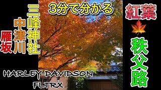 ハーレーで行く【秩父の紅葉】2020.10.28🟡三峰神社✖︎中津川渓谷✖︎雁坂トンネル⏩vol.60 HARLEY-DAVIDSON FLTRX