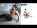 9 تمارين شد البطن كمال الاجسام abdos workout home