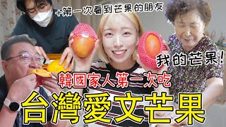 韓國家人第一次吃台灣芒果/人生第一次看到芒果!/드뎌 가족들이랑 먹어보는 대만 망고!!