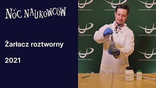 Żarłacz roztworny - inż. Mateusz Frankiewicz