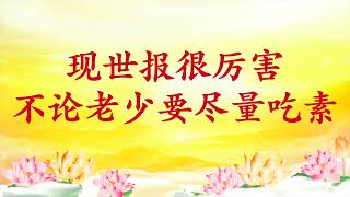 卢台长【节目录音】现世报很厉害，不论老少要尽量吃素