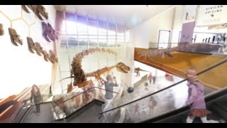 Metamorphosis: The Centennial Campaign for the Cleveland Museum of Natural History